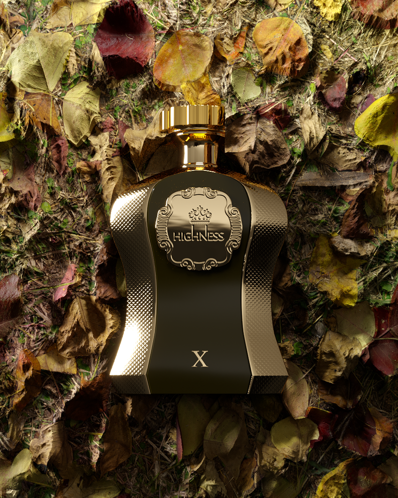 Highness X 100ml for Men | EDP | Afnan Perfumes