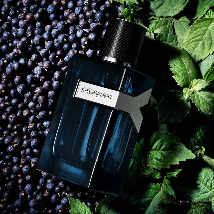 Y Intense for Men | EDP | YSL