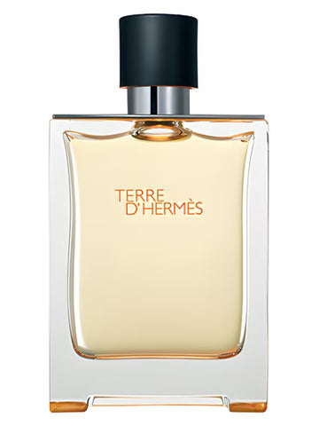 Terre D'Hermès 100ml  For Men |EDT| Hermès