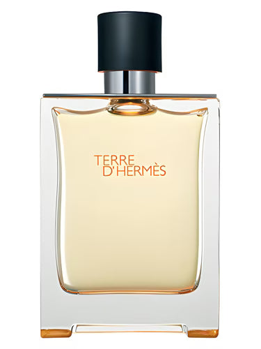 Terre D'Hermès 100ml  For Men |EDT| Hermès