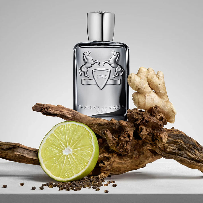 Castley 75 ml for Men | EDP | Parfums de Marly