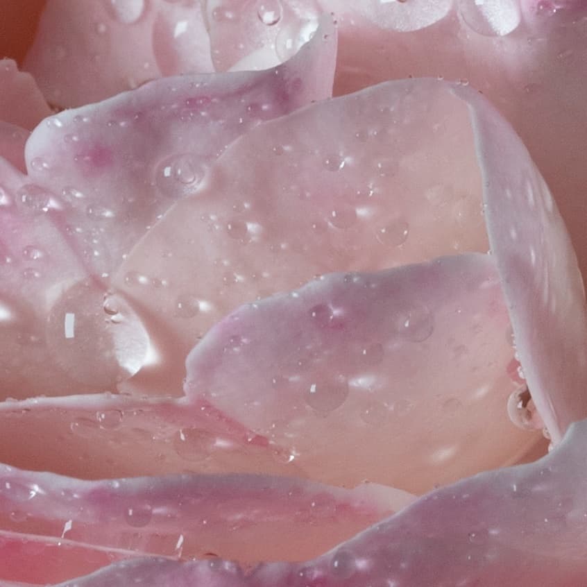 L’EAU À LA ROSE 70 ml For Women | EDT | MAISON FRANCIS KURKDJIAN