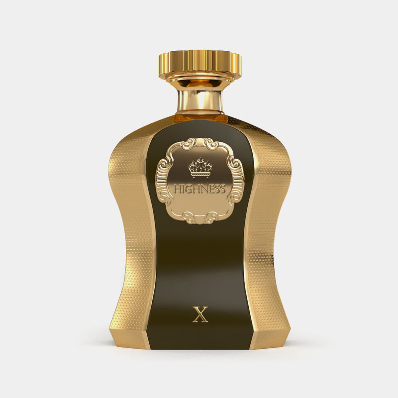 Highness X 100ml for Men | EDP | Afnan Perfumes