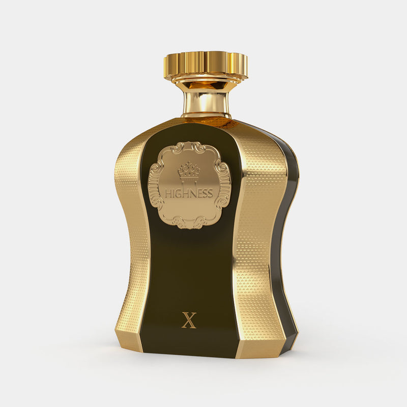 Highness X 100ml for Men | EDP | Afnan Perfumes