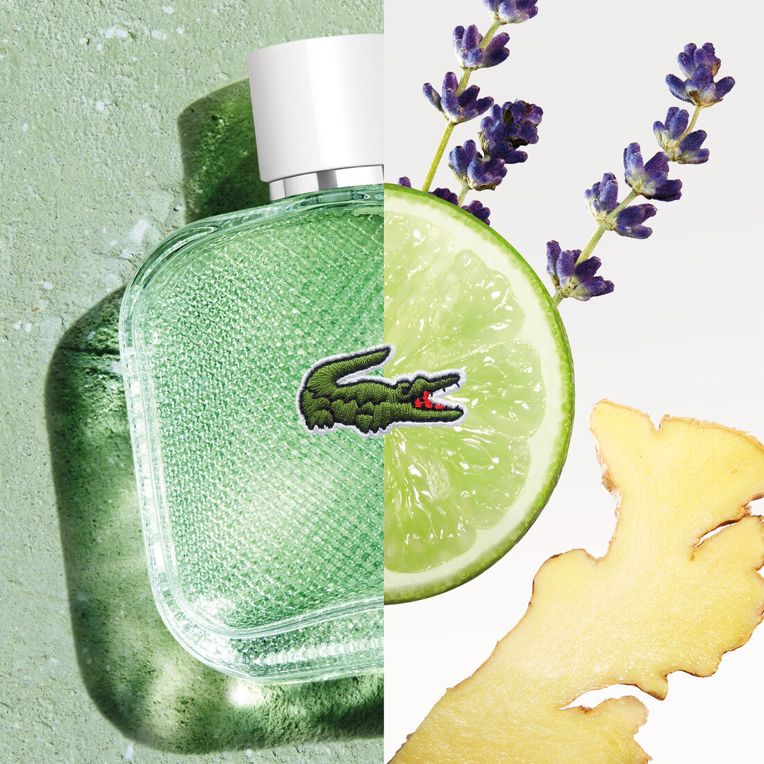 L.12.12 Blanc Eau Fraîche For Men 100ml  |EDT| Lacoste