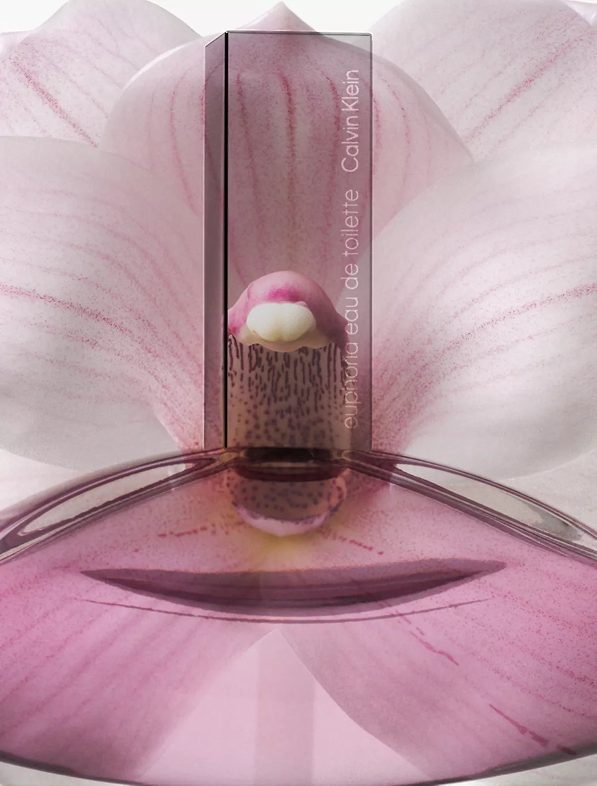Euphoria 100 ml for Women | EDT | CALVIN KLEIN