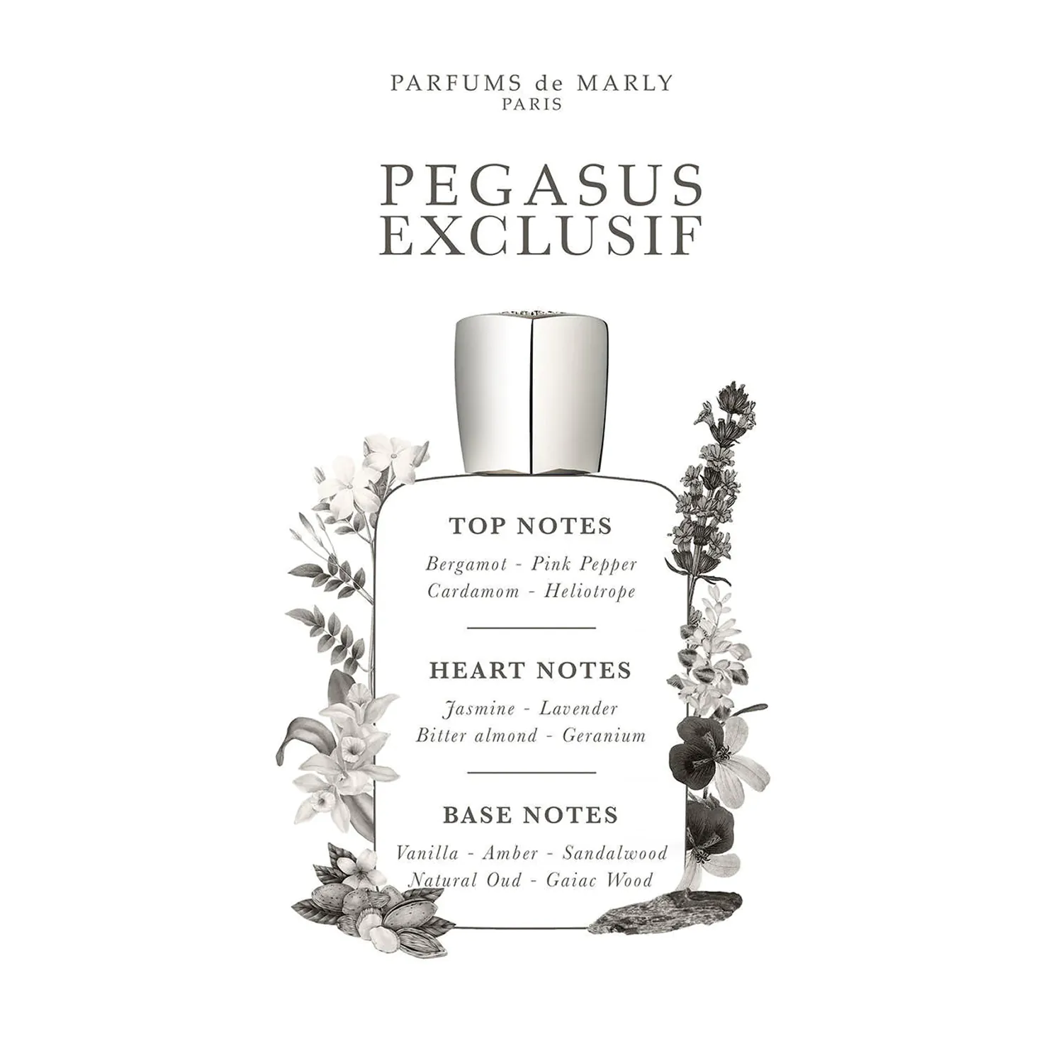 Pegasus Exclusif for Men | EDP | Parfums de Marly