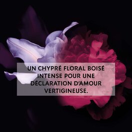 Mon Paris Intensément for Women | EDP | YSL