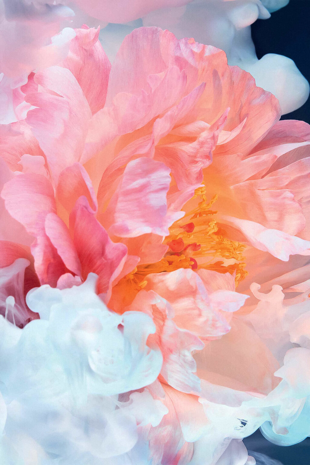 JOY by Dior – Eau de Parfum Intense for Women | Dior