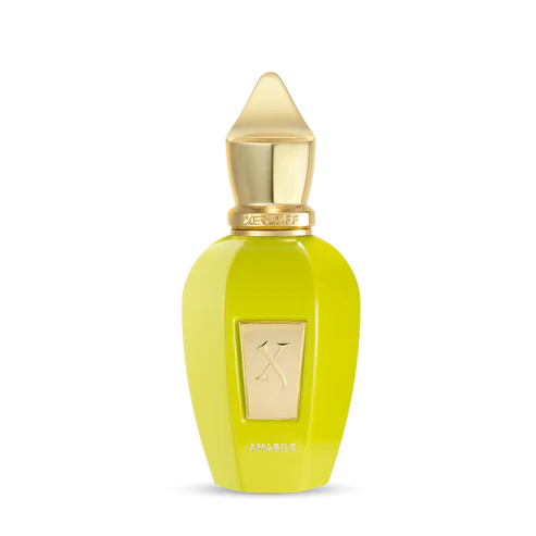 AMABILE 50 ml for Unisex | EDP | XERJOFF