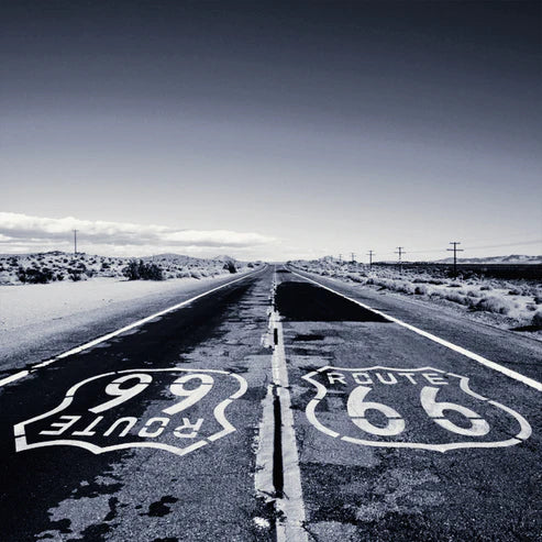 Ivory Route 50 ml for Unisex | EDP | XERJOFF