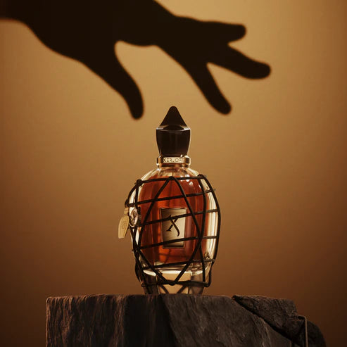 P.13 100 ml for Unisex | EDP | XERJOFF