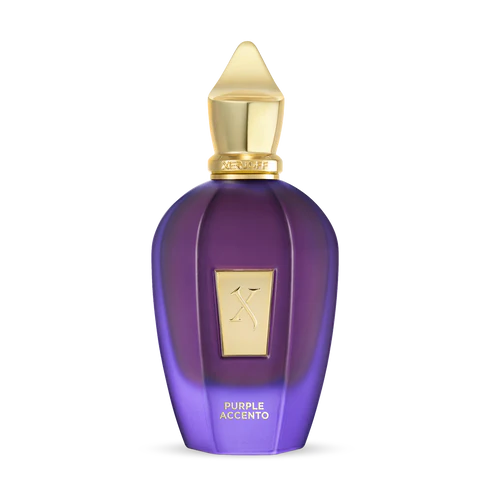 Purple Accento 100 ml for Unisex | EDP | XERJOFF