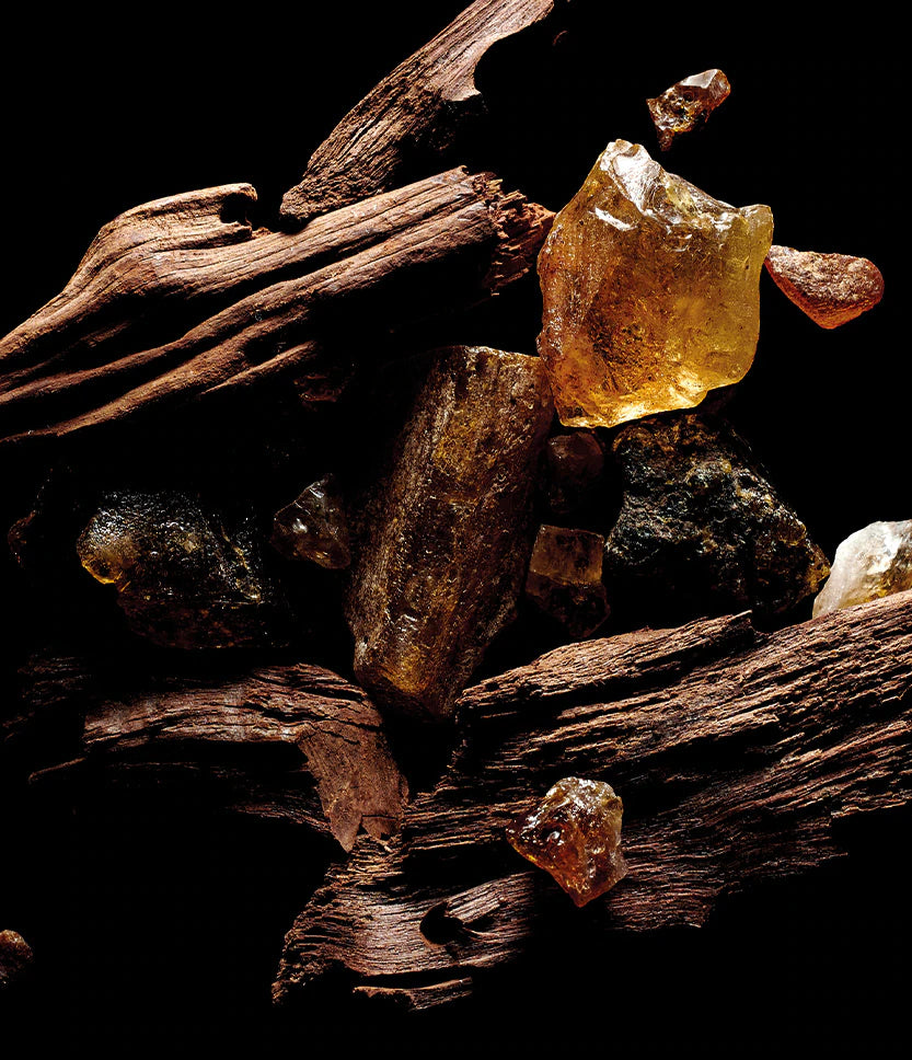 Sacred Wood for Unisex | Parfum | KILIAN PARIS