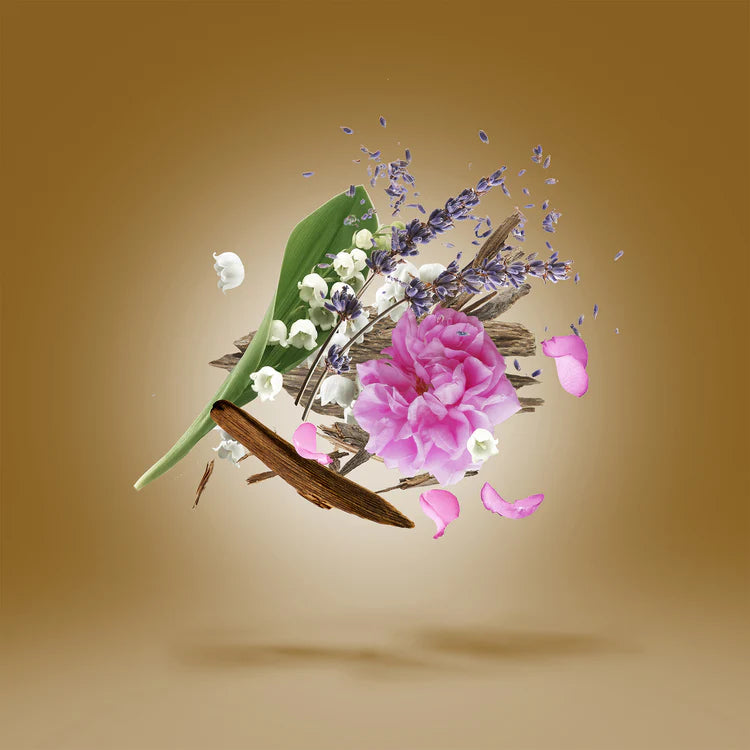 Alexandria II for Unisex | EDP | XERJOFF