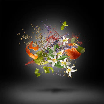 Duran Duran Black Moonlight 100 ml for Unisex | EDP | XERJOFF