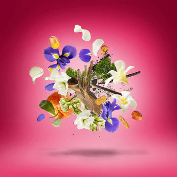 Coro for Unisex | EDP | XERJOFF