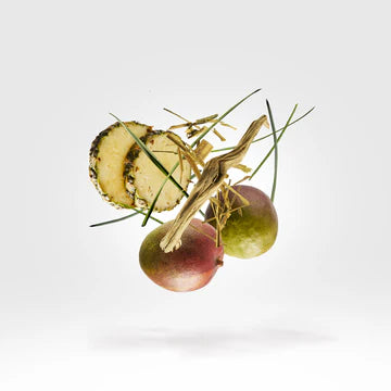 Cruz Del Sur II 50 ml for Unisex | PARFUM | XERJOFF