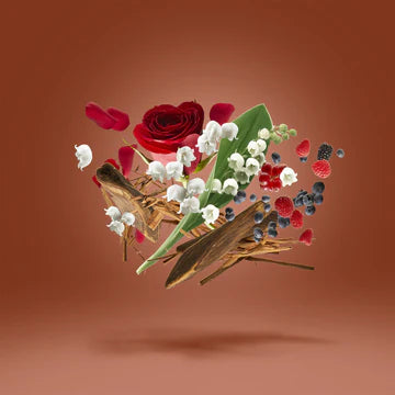 DamaRose 50 ml for Unisex | PARFUM | XERJOFF