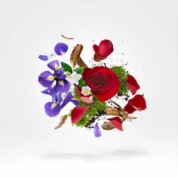 Elle for Women | EDP | XERJOFF