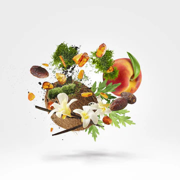 Emerald Star 100 ml for Unisex | EDP | XERJOFF