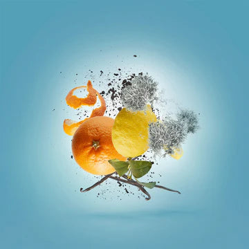 Erba Pura for Unisex | EDP | XERJOFF