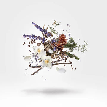 Ether 50 ml for Unisex | Parfum | XERJOFF