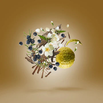 Fars 50 ml for Unisex | Parfum | XERJOFF