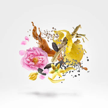 Hermetic 100 ml for Unisex | EDP | XERJOFF