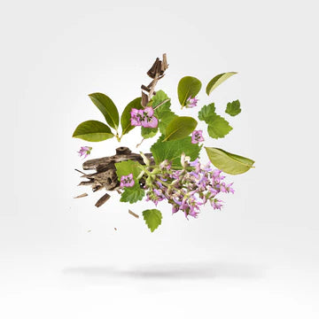 Holysm 50 ml for Unisex | Parfum | XERJOFF