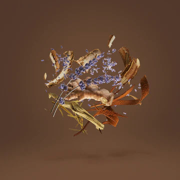 Homme for Men | EDP | XERJOFF