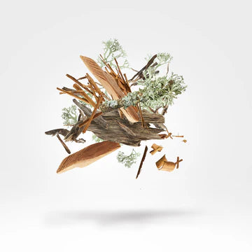 Ilm 50 ml for Unisex | Parfum | XERJOFF