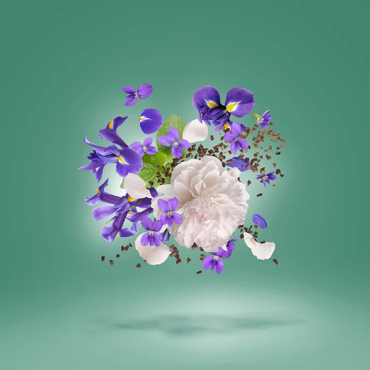 Homme Anniversary for Men | Parfum | XERJOFF