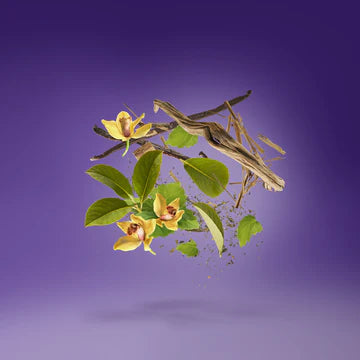 Laylati for Unisex | EDP | XERJOFF