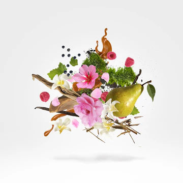 Louis XV 1722 Rosé 50 ml for Unisex | EDP | XERJOFF