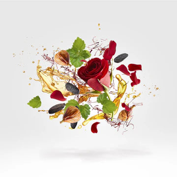 NeoRio 50 ml for Unisex | Yellow Flacon | EDP | XERJOFF