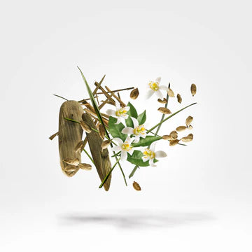 Nio 50 ml for Unisex | EDP | XERJOFF