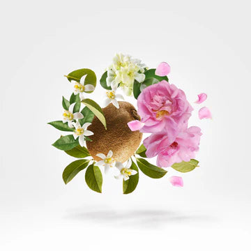 Oesel 50 ml for Unisex | EDP | XERJOFF