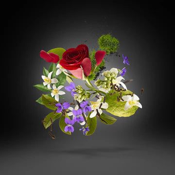 P.13 100 ml for Unisex | EDP | XERJOFF