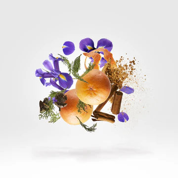 P.33 Blank Page Edition 100 ml for Unisex | EDP | XERJOFF