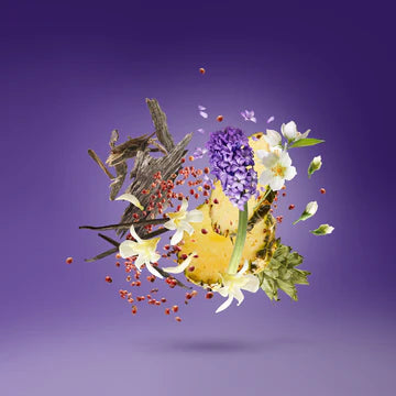 Purple Accento 100 ml for Unisex | EDP | XERJOFF