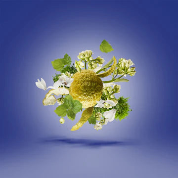 Torino23 50 ml for Unisex | EDP | XERJOFF