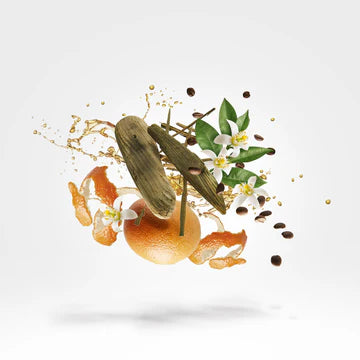 Uden 50 ml for Unisex | Parfum | XERJOFF